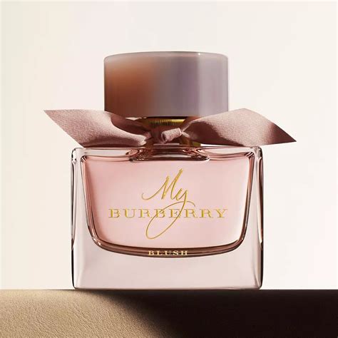 burberry perfume profile|Burberry perfume for female.